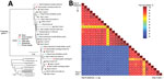 Thumbnail of Phylogenetic relationships and pairwise sequence comparison of  crAssphage strains from swab samples collected during norovirus outbreaks on cruise ships. A) Phylogeny of crAssphage on cruise ships, showing ship and source for each strain. Inset shows position of cruise ship strains among reference strains; scale bar indicates number of nucleotide changes between sequences. B) Color-coded pairwise identity matrix for crAssphage strains. Each cell includes the percentage identity amo