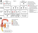 Environmental sampling scheme at hospital A from a study of CRPA in acute-care hospital specialty care unit, Texas, USA. A) Collection location in hospital and number of each sample type (icons with numbers underneath) collected (N = 85). We selected units and rooms for environmental sampling on the basis of chart review, focusing on where patients who developed clinical infections were located; patient rooms were those where patients with VIM-CRPA had been previously located. Three patients developed clinical infections while in ICU 1 and 3 while in ICU 2. Thirteen other patients from several medical or surgical units also developed clinical infections. Samples from which we recovered >1 VIM-producing isolate are indicated in red. We identified VIM-CRPA from 3 sites related to a single sink in room A of ICU 1: the sink drain, the interior surface of the dialysis faucet, and bulk water from a dialysis faucet used as the water source for the reverse osmosis unit of portable dialysis machines. We identified VIM-producing Pseudomonas monteilii (†) in a single sink basin sample of 1 room in ICU 2. B) Schematic view and heatmap of colony forming units identified by culture at selected internal surface locations within the faucet and water supply used for portable dialysis in ICU 1, room A. CRPA, carbapenem-resistant Pseudomonas aeruginosa; ICU, intensive care unit; VIM, Verona-integron-encoded metallo-β-lactamase.