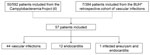 Flowchart of 57 patients with Campylobacter spp. vascular infections in a multicenter retrospective study on vascular infections and endocarditis caused by Campylobacter spp., France. BUH, Bordeaux University Hospital (Bordeaux, France).