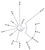 Phylogenetic tree of SARS-CoV-2 Delta variant, AY.103 lineage, genome sequences from an African lion (day 1 and day 5) and 2 zoo employees (Z1 and Z2) shown in comparison with reference sequences from COVID-19 patients from 7 counties in Indiana, USA, August 2021–February 2022. Reference sequences are labeled chronologically as S1 to S10. Stars indicate specimens collected in December 2021. 