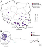 Geographic distribution and clonal analysis of Enterobacter hormaechei clonal complex 90 (ST90 and ST1762) in Poland, 2006–2019. A) Geographic distribution of the isolates; main administrative regions are labeled. Circles represent medical centers where the isolates were recorded. Sizes of the circles are proportional to numbers of cases of infection. B) SNP-based minimum-spanning tree of the isolates. Lengths of branches are related to numbers of SNPs between linked isolates. Numbers of SNPs are indicated above the branches or next to the dots. SNP, single nucleotide polymorphism; ST, sequence type.