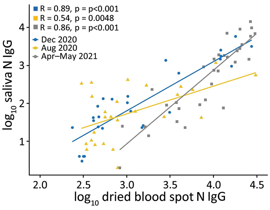 Quantitative comparison of nucleocapsid IgG in saliva and dried blood spots among 79 study participants, US Naval Academy, Annapolis, Maryland, USA, December 2020–May 2021. N, nucleocapsid.