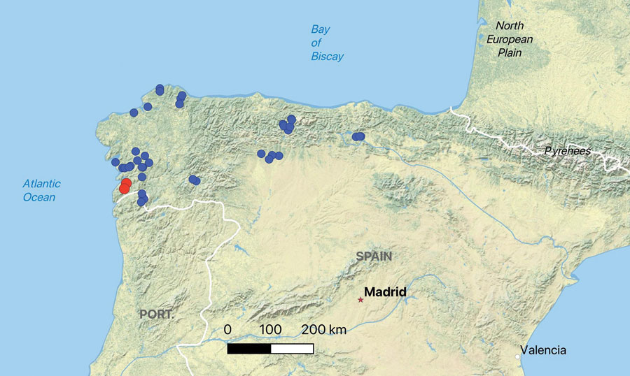 Spatial distribution of Seoane’s viper (Vipera seoanei) captures and detections of Paranannizziopsis sp. fungus in Spain and Portugal. Each dot represents an individual snake capture; overlapping points were slightly jittered for visualization. Blue dots represent snakes that tested negative by real-time PCR, and red dots represent snakes that tested positive by real-time PCR.