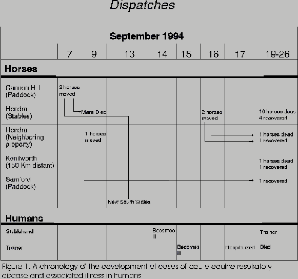 A chronology of the development of cases of acute equine respiratory disease and associated illness in humans.