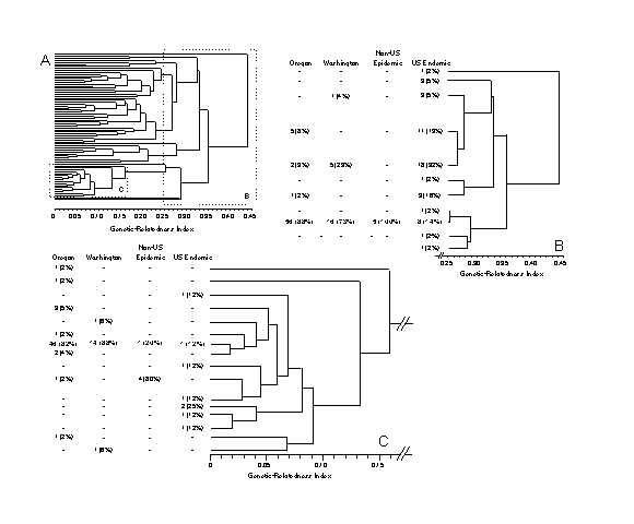 Genetic relatedness of serogroup B strains of Neisseria meningitidis from Oregon, Washington, other countries, and endemic-disease cases in the United States. A. Computer-generated dendrogram for all isolates; 68 enzyme types (ETs) were identified with the 24 enzymes used in this study. To determine the relatedness of two ETs, start at the left side of the dendrogram at the line (or leg) representing the ET of interest and follow the leg horizontally to the right angle turn (up or down), allowin