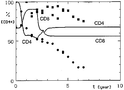 Simulated CD4+ and CD8+ lymphocyte dynamics after permanent treatment with anti-CD8 antibodies started 2 years after the acquisition of the HIV infection. Cells mediating the protective anti-HIV immune reaction are not affected by this treatment ([[INLINEGRAPHIC('96-0405-M2')]]R = 0.007, C = 0.0).