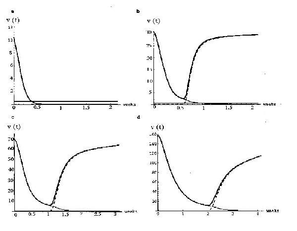 Treatment simulations for four starting viral levels. The simulations have a common viral set-point of disease progression, and the treatment starting values are from Figure 1a,b. For all four simulations, the treatment parameters are c1=2.0, c2=1.0, c3=.1, the resistance mutation parameter is q=10-7, and the threshold value is V0=.5 (indicated by the horizontal line). The lowest starting viral level achieves remission (a), while the other three develop resistance.