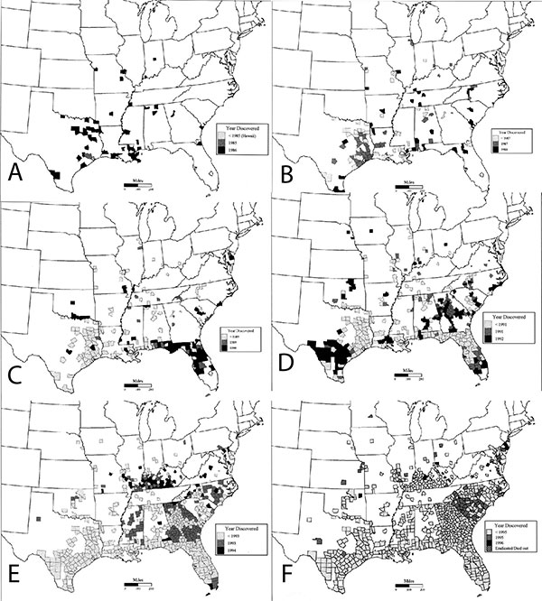 Reported distribution of Aedes albopictus, the Asian "tiger mosquito," in the continental United States, 1985-1996. Maps were generated by merging the EpiInfo database into the Atlas geographic information system.