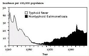 Reported incidence of typhoid fever and nontyphoidal salmonellosis in the United States, 1920-1995.
