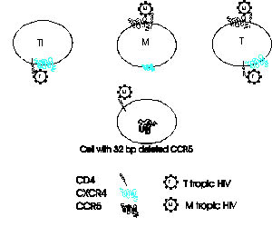 Corrected figure for Figure 2, p<!-- Q3 -->. 264