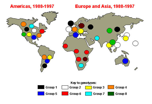 Global distribution of measles genetic groups. Colored circles indicate areas where measles viruses from various genetic groups have been isolated. Viruses not assigned to one of the eight groups are labeled in brown.