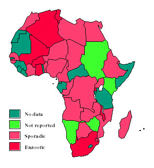 Bovine tuberculosis occurrence, Africa (21).