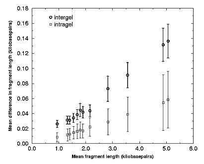 Means and two standard errors of the mean error bars for pairwise comparisons among 116 12-banded H37Rv lanes show that error is consistently larger when comparing lanes between gels than when comparing lanes from the same gel. The x-axis corresponds to w(b), and the y-axis to d(b), as presented in the text. It is evident that error is proportional to fragment length in the range of fragment lengths found in H37Rv. The data exhibit 2% to 3% error for between gel comparisons, but only approximate