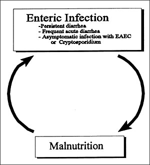 Relationship between diarrhea and malnutrition (31, 60–62).