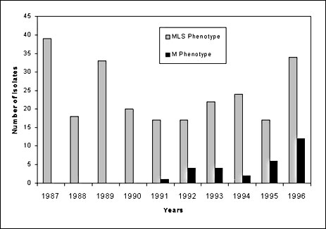 Number of erythromycin-resistant blood and cerebro- spinal fluid isolates of pneumococci. DNA was extracted from pneumococcal isolates by using a lysis solution consisting of 0.1% sodium deoxycholate as described in (11), except that we used plate rather than broth cultures.   Seventy-eight MLS strains were probed for the ermAM gene by using dot blots. The probe (supplied by P. Courvalin, Pasteur Institute, Paris, France) (Escherichia coli JM83/pUC19 560bp Ssp1 intragenic fragment of ermB) was l