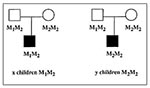 Thumbnail of Principle of the transmission disequilibrium test (TDT) for investigating association between a disease and allele M1. The sample consists of x+y families with one affected child and two parents. For ease of presentation, we assume that only one parent is heterozygous for M1 (e.g., M1M2), although the second parent could be used for the test if he were himself heterozygous for M1. There are x affected children who have received allele M1 from their M1M2 parent and y who have receive