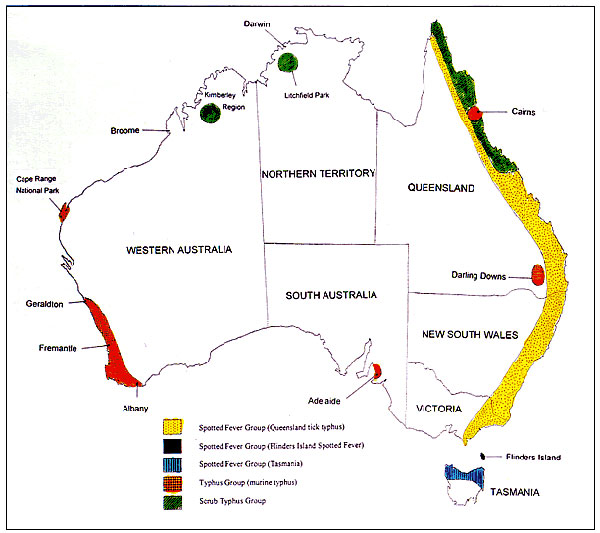 Geographic distribution of rickettsial diseases in Australia.