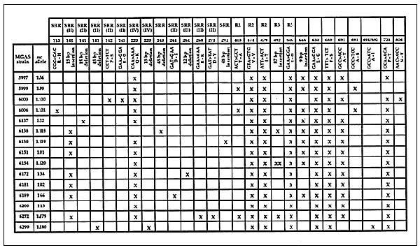 Variation in the sic gene and Sic protein identified in M1 group A Streptococcus isolates characterized in the study. The figure is a compilation of variations found in the 15 distinct sic alleles in the sample. The numbers at the top of the figure refer to the nucleotide sequence position of a sic allele described in reference 6. Single-letter amino acid abbreviations are used. SRR, amino-terminal short repeat region; Roman numeral, short repeats I-V which recur in SRR; R2 and R3, tandem repeat