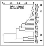 Thumbnail of A dendrogram illustrating 31 spoligotyping results of Mycobacterium tuberculosis isolates from Martinique. From top to bottom, types 50 and 53, ubiquitous; types 52 and 49 are represented by a single isolate, respectively, M35 and M30, and are ubiquitous; isolates M10 and M7 belong to specific types 17 and 68, respectively found in Guadeloupe and Barbados; M25, belongs to specific type 5 observed in Guadeloupe; type 45, ubiquitous; type 46, ubiquitous; isolate M23 shares type 2, wit