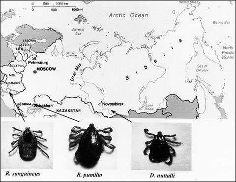Areas from which ticks in the study were collected.