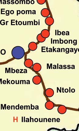 Ebola Virus Antibody Prevalence in Dogs and Human Risk