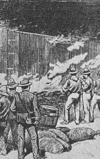 Osler and the Infected Letter