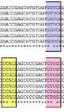 Rifampin Resistance in Tuberculosis Outbreak, London, England