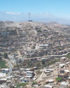 Periurban Trypanosoma cruzi–infected Triatoma infestans, Arequipa, Peru