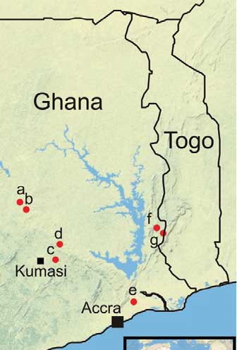 Human Betacoronavirus 2c EMC/2012–related Viruses in Bats, Ghana and Europe