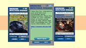 Widgets