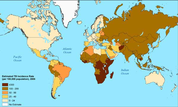 Tuberculosis incidence rate, 2006