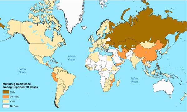 Multidrug-resistance among reported tuberculosis cases, 2006