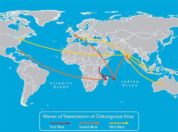 Chikungunya Map