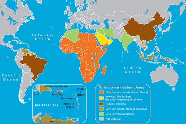 Map 3-14 Geographic distribution of schistosomiasis