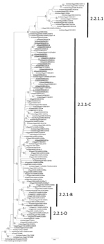 Thumbnail of Phylogenetic tree of the influenza A(H5) virus hemagglutinin genes, clade 2.2.1, generated by neighbor-joining analysis. Subgroups of clade 2.2.1 are indicated on the right. Bootstrap values (&gt;79) generated from 1,000 neighbor-joining replicates are shown above branches, and Bayesian posterior probabilities are shown below the branches at relevant nodes. Scale bar represents 0.002 nt substitutions per site. Viruses recommended by the World Health Organization for development of c