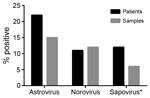 Thumbnail of Enteric virus infections identified from remnant fecal samples from pediatric patients with cancer, Memphis, Tennessee, USA, 2008. The percentage of samples and patients testing positive for human astrovirus was higher than the percentages testing positive for either norovirus or sapovirus. *Due to limited sample availability, 31 samples could not be tested for sapovirus.