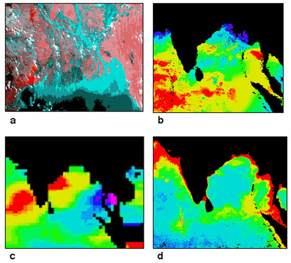 Datasets used to model the temporal patterns of cholera outbreaks in Bangladesh. a) Advanced Very High Resolution Radiometer (AVHRR) satellite image showing the mouth of the Ganges River and the Bay of Bengal. Vegetation is shown in shades of red and water in shades of blue. The spatial resolution of these data is 1.1 km. b) Sea surface temperature data, derived from AVHRR thermal bands. Temperatures range from low (purple) to high (red). c) Sea surface height data, derived from TOPEX/Poseidon s