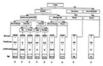 Thumbnail of Escherichia coli O157:H7 infection outcome tree. Severity categories (1)-(9) are described in Table 2.