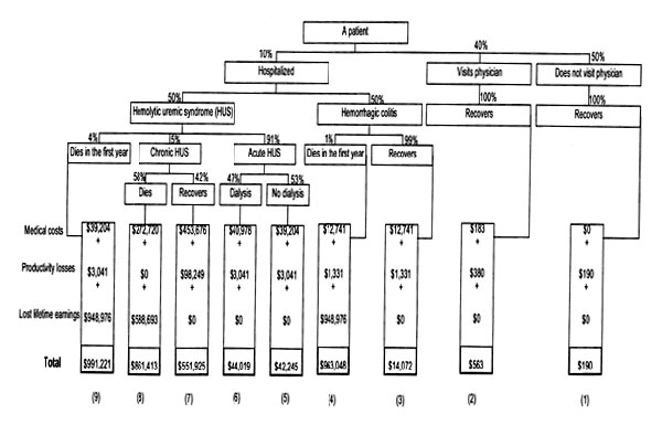 Escherichia coli O157:H7 infection outcome tree. Severity categories (1)-(9) are described in Table 2.