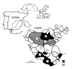 Thumbnail of Localization of randomly selected sampling points in Cadiz Province for cat fleas with indication of the presence of Rickettsia felis by polymerase chain reaction procedures. Localities are 1. San Roque, 2. Tarifa, 3. Vejer de la Frontera, 4. Benalup, 5. Jerez, 6. Arcos de la Frontera, 7. San José del Valle, 8. Paterna de Rivera.