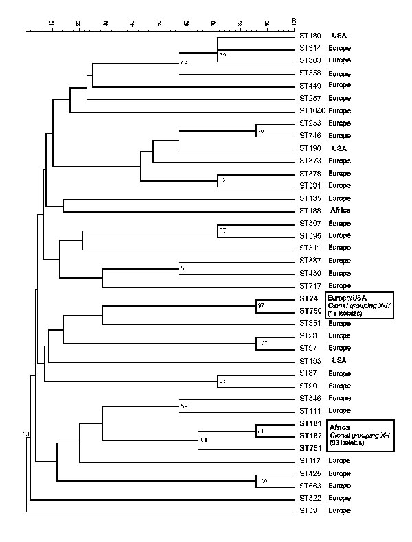 Neighbor-joining phenogram of allelic identities in 39 multilocus sequence typing (MLST) sequence types from serogroup X Neisseria meningitidis. Numbers at nodes are the percentages of 1,000 bootstrap replicates in which these nodes appeared. Only nodes with percentages &gt;50% were included. The two boxes indicate clonal groupings that were detected by MLST or pulsed-field gel electrophoresis.