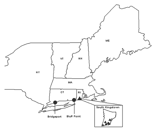 blank northeastern map