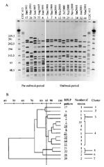 Thumbnail of A, restriction fragment length polymorphism (RFLP) analysis of Neisseria meningitidis serogroup C strains generated by pulsed-field gel electrophoresis (PFGE) by using the Spe I restriction endonuclease. The strain CDC-413 was used as a control for the PFGE. B, dendogram analysis generated from “A.” Percent identity is shown at the top. The RFLP pattern designation is shown on the right. RFLP patterns not underlined were seen from January 1997 to November 1999. Underlined RFLP patte