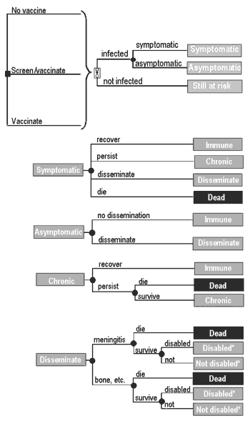 Schematic representation of the decision model and decision model subtrees. The square node represents a decision to use one of the three strategies: no vaccination, vaccination of susceptible persons identified through a screening skin test, or vaccination of all persons. Circles represent chance nodes. After a strategy is chosen, the patient enters a Markov tree (denoted by a rectangle containing circles connected by an arrow). The Markov tree represents clinical events that can occur during e