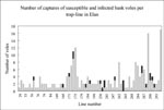 Thumbnail of Number of captured bank voles (susceptible in light grey, seropositive in black) per trap line in Elan.
