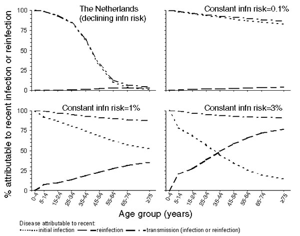 Model predictions of the proportion of disease attributable to primary and exogenous disease during the period 1993–1997 in the Netherlands and settings in which the annual risk for infection has remained unchanged over time at 0.1%, 1%, and 3% per year.