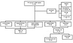 Thumbnail of Diagram of Yellow fever (YF) vaccine adverse events reports (1990-1998). n = number of reports; () = number of reports in patients &gt;65 years old. VAERS = Vaccine Adverse Event Reporting System.