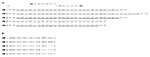 Thumbnail of A. Nucleotide sequences of polymorphic regions of different types of the prn gene and the sequences of the fluorescence resonance energy transfer probes aligned to their hybridization positions in the prn gene. Number 790 refers to the position of bases relative to the first start codon of prn1. Underlined regions represent repeats in the sequence. B. Amino acid sequences of polymorphic regions of different pertactin types. Dashes indicate caps in the sequence.