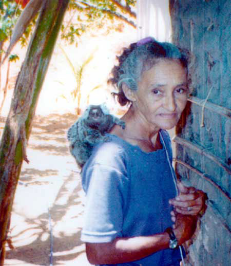 A pet marmoset with its owner.