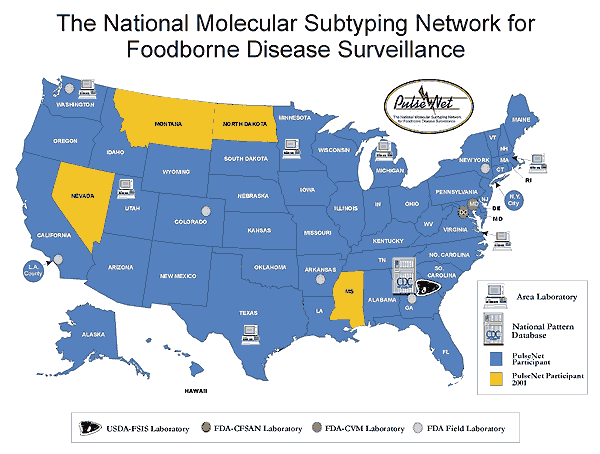 Locations of PulseNet laboratories in the United States. PulseNet participant states are currently participating. States labeled PulseNet participants 2001 are expected to complete the requirements for entry by December 2001. The area laboratories provide surge capacity and technical support to neighboring states. FDA-CFSAN: U.S. Food and Drug Administration, Center for Food Safety and Applied Nutrition Laboratory; FDA-CVM: U.S. Food and Drug Administration, Center for Veterinary Medicine Labora